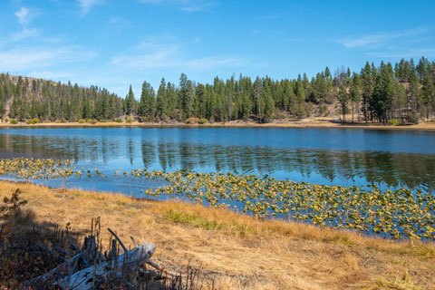 Dog Lake, Oregon