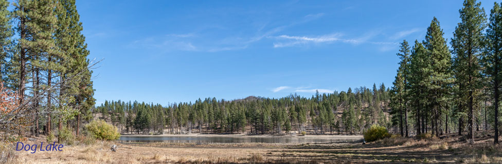 Dog Lake, Fremont-Winema National Forest, Oregon