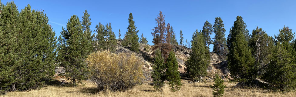 Lee Thomas Campground, Fremont-Winema  National Forest, Oregon