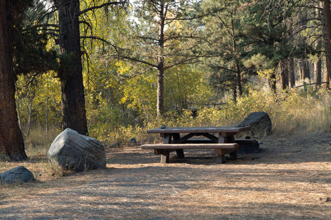 Marster Spring Campground, Oregon