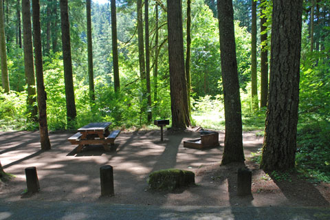 Bogus Creek Campground, North Umpqua River, Oregon