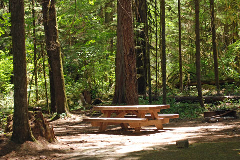 Eagle Rock Campground, Nosrth Umpqua River, Oregon