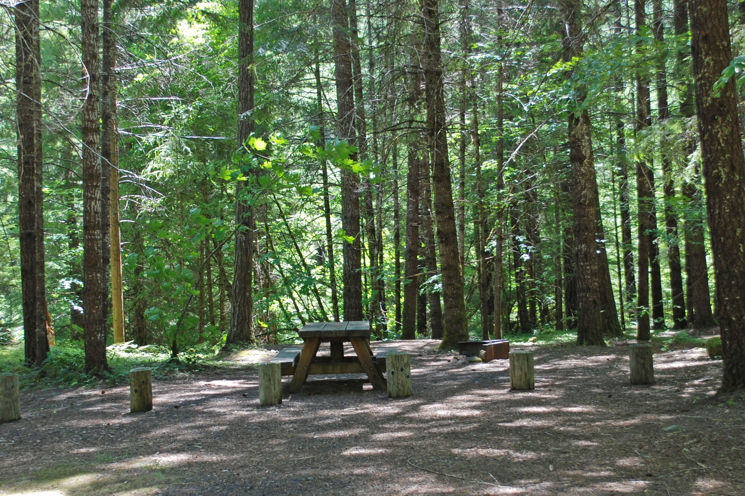 Horseshoe Bend Campground, North Umpqua River, Oregon