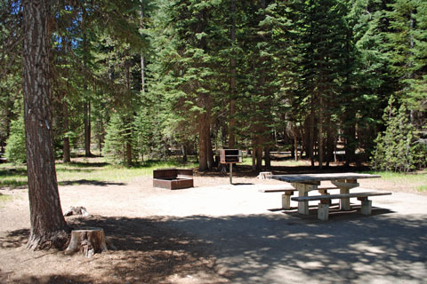 Thielsen View Campground, Diamond Lake, Oregon