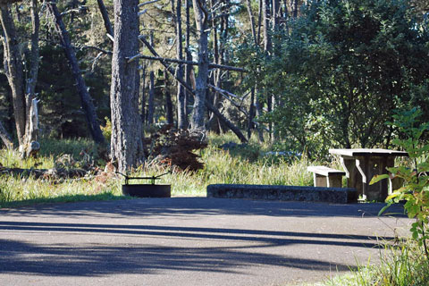 Bluebill Campground, Oregon Dunes