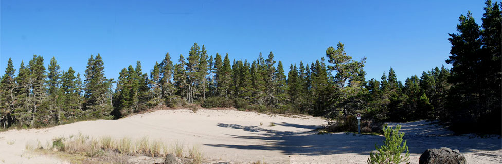 Siuslaw National Forest, Oregon