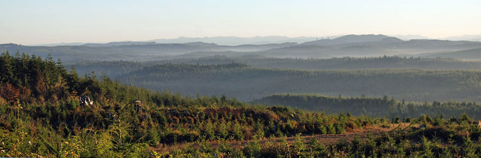 Forest, Tillamook County, Oregon