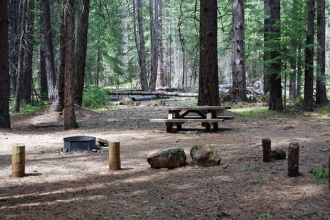 Fourbit Ford Campground, Rogue River-Siskiyou National Forest, Oregon