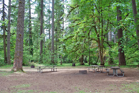 Cascadia State Park Campground, Linn County, Oregon